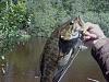 Click image for larger version. 

Name:	shallowbass2.jpg 
Views:	315 
Size:	172.2 KB 
ID:	16419