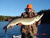 Click image for larger version. 

Name:	edwin45muskie04nov2010 [1024x768].JPG 
Views:	375 
Size:	167.2 KB 
ID:	12607