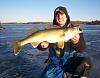 Click image for larger version. 

Name:	web walleye 2012.jpg 
Views:	275 
Size:	90.7 KB 
ID:	15582