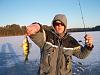 Click image for larger version. 

Name:	Big Mick holding a beauty of a Perch.12-11-2011.jpg 
Views:	281 
Size:	32.1 KB 
ID:	15219