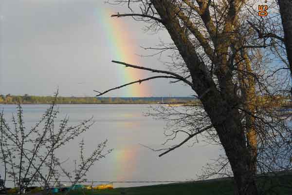 Nice rainbow after down pour on the 10th. Cool reflection off the lake