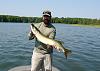 Click image for larger version. 

Name:	muskies 144.jpg 
Views:	509 
Size:	179.0 KB 
ID:	18023