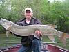Click image for larger version. 

Name:	Keary's 46 inch Musky 3.JPG 
Views:	247 
Size:	164.1 KB 
ID:	13119