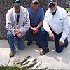 Click image for larger version. 

Name:	6 2 2011 kosh walleye004 Web Resized.jpg 
Views:	151 
Size:	21.3 KB 
ID:	13479