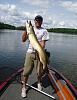 Click image for larger version. 

Name:	muskies 135.jpg 
Views:	526 
Size:	165.7 KB 
ID:	17858