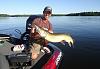 Click image for larger version. 

Name:	muskies 057.jpg 
Views:	493 
Size:	161.5 KB 
ID:	17861