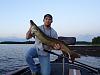 Click image for larger version. 

Name:	muskies 087.jpg 
Views:	482 
Size:	171.9 KB 
ID:	17868