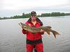 Click image for larger version. 

Name:	Musky opener 001.jpg 
Views:	165 
Size:	189.8 KB 
ID:	13491
