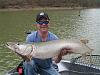 Click image for larger version. 

Name:	Cave Run Pig.JPG 
Views:	596 
Size:	168.5 KB 
ID:	12924