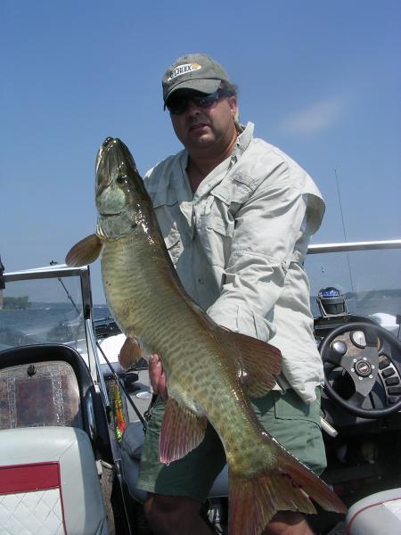 Healthy 42"