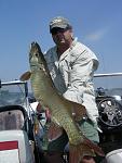 Healthy 42"