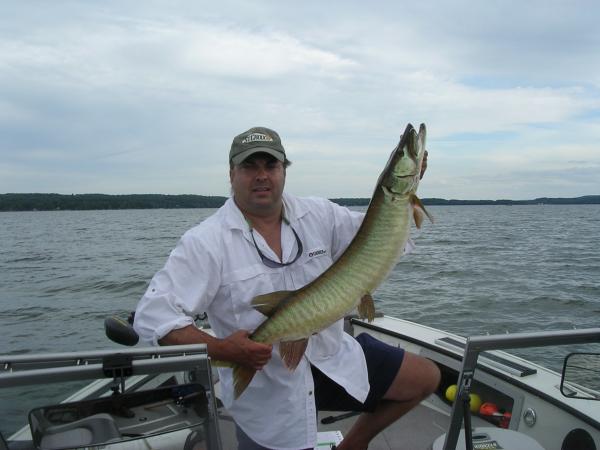Scrappy 40"