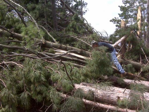 Climbing over the blowdowns.  The emt's had to pass me over the tops of the trees, 6-8 feet off the ground.