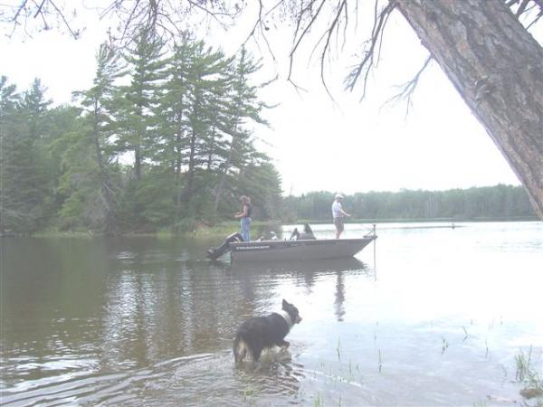 Fishing near C8 on a day trip with the brother in law, the dog always wants to go along!