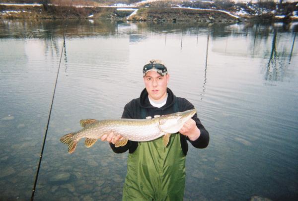 36'' pike