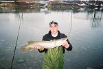 36'' pike