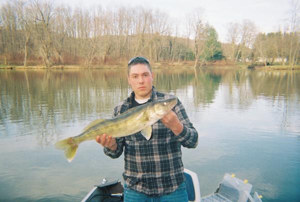 32.5" 12.4 pd walleye
