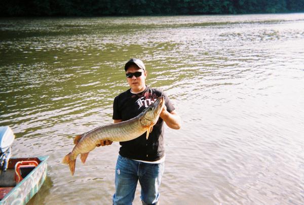 44'' musky