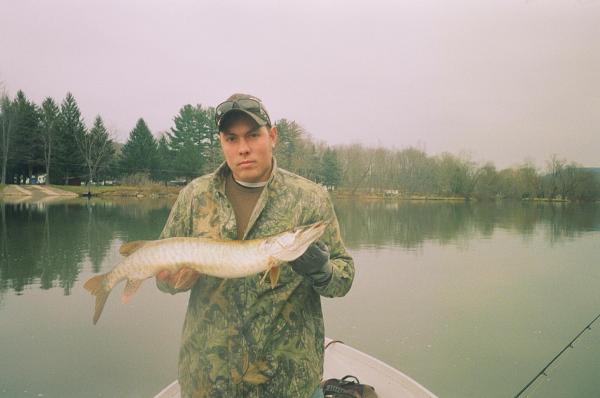 32'' musky