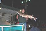 45'' musky