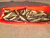 Click image for larger version. 

Name:	perch, saturday10.29.11 002.jpg 
Views:	384 
Size:	195.1 KB 
ID:	15399