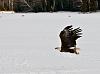 Click image for larger version.&nbsp;

Name:	6939966937_87fd19214a_z.jpg&nbsp;
Views:	1354&nbsp;
Size:	104.6 KB&nbsp;
ID:	15855