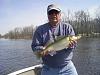 Click image for larger version. 

Name:	walleye 007 web.jpg 
Views:	1747 
Size:	46.8 KB 
ID:	15997
