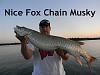 Click image for larger version. 

Name:	Foxchain20121.jpg 
Views:	485 
Size:	75.0 KB 
ID:	16975