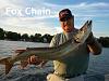 Click image for larger version. 

Name:	foxchain20124.jpg 
Views:	442 
Size:	32.2 KB 
ID:	17083