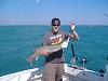 Click image for larger version. 

Name:	Donelly Charter1.jpg 
Views:	1168 
Size:	32.8 KB 
ID:	17126