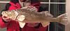 Click image for larger version.&nbsp;

Name:	fish close up.jpg&nbsp;
Views:	866&nbsp;
Size:	119.1 KB&nbsp;
ID:	19191
