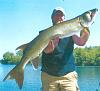 Click image for larger version. 

Name:	prairie.jpg 
Views:	1085 
Size:	34.0 KB 
ID:	19249