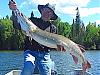 Click image for larger version.
Name: m939 copy.jpg
Views: 491
Size: 50.5 KB
ID: 26753