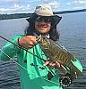 Click image for larger version.
Name: b1790 copy.JPG
Views: 512
Size: 34.8 KB
ID: 27022