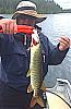 Click image for larger version. 

Name:	m1077 copy.JPG 
Views:	536 
Size:	29.2 KB 
ID:	29285