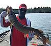 Click image for larger version. 

Name:	p1373 copy.jpg 
Views:	566 
Size:	43.2 KB 
ID:	29619