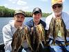 Click image for larger version. 

Name:	IMG_1002.jpg 
Views:	360 
Size:	121.3 KB 
ID:	30077