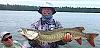 Click image for larger version. 

Name:	m1171 copy.jpg 
Views:	518 
Size:	13.5 KB 
ID:	30993