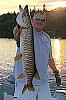 Click image for larger version. 

Name:	m1184 copy.jpg 
Views:	494 
Size:	14.9 KB 
ID:	31192