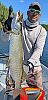 Click image for larger version. 

Name:	m1182 copy.jpg 
Views:	446 
Size:	12.3 KB 
ID:	31240
