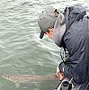 Click image for larger version. 

Name:	p1575 copy.jpg 
Views:	540 
Size:	17.5 KB 
ID:	31803