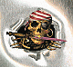 Captain Matt's Avatar